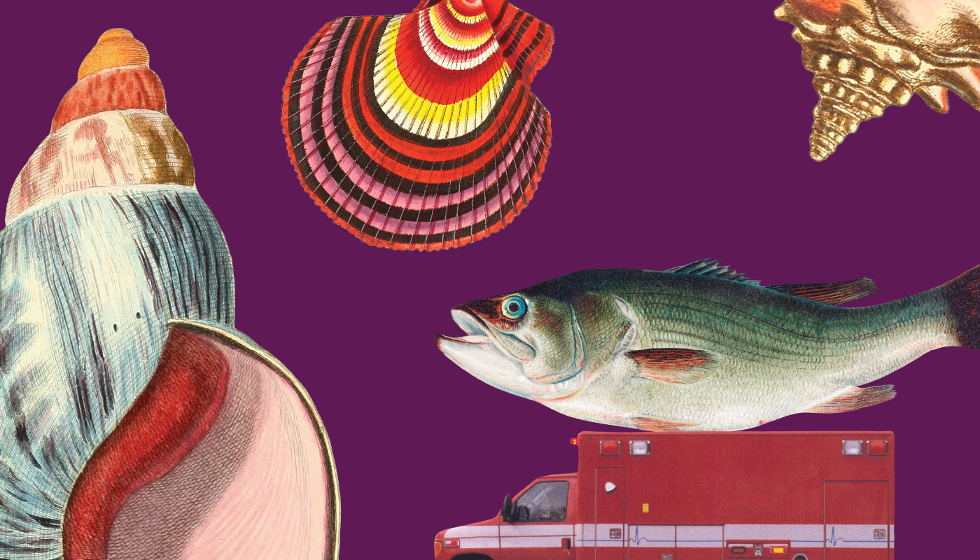 Checklist: Are you ready for co-design?